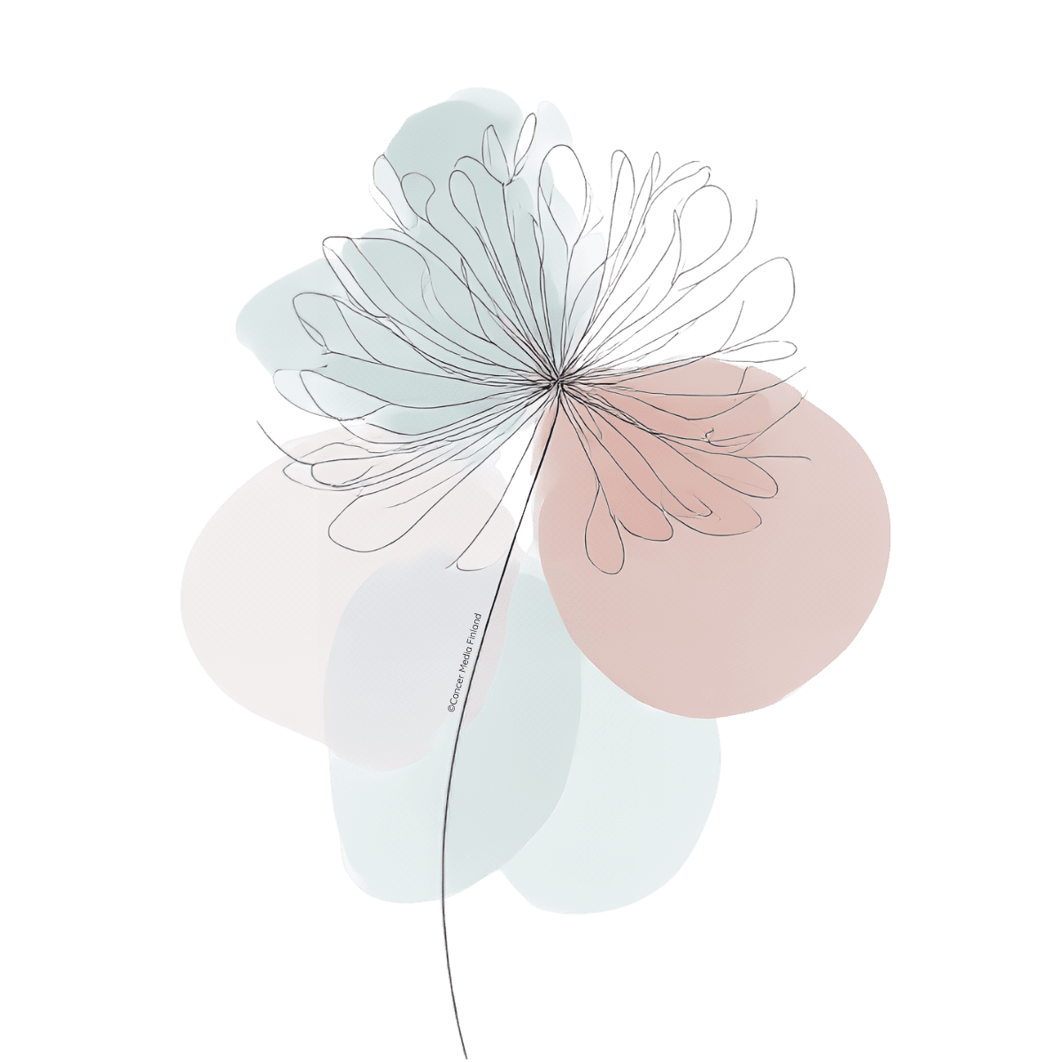 Luuston heikkeneminen