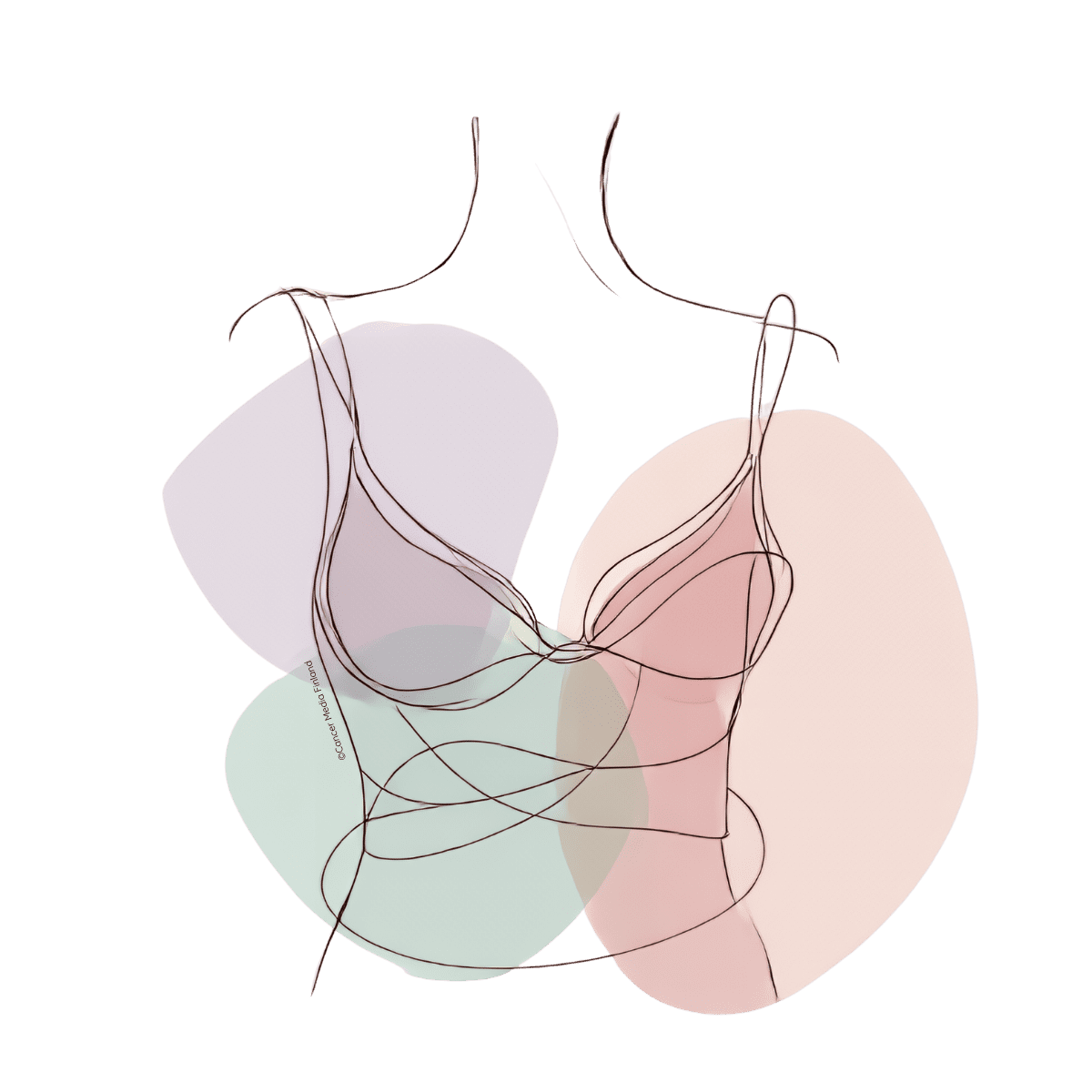 Suolisto ja virtsatie