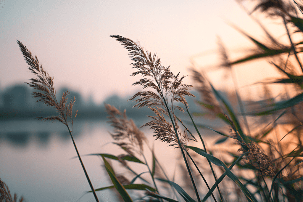 Turvallisuuden tunne on tärkeintä rintasyöpädiagnoosin jälkeen.